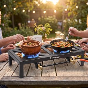 Estufa de gas de doble orificio - Utensilios de cocina para exteriores